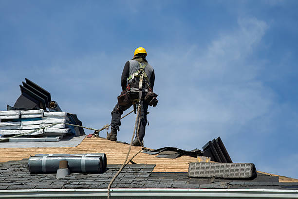 Professional Flat Roof Repair technician working in Viola, DE